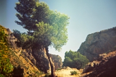 holga3