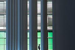 EB_Tegenlicht