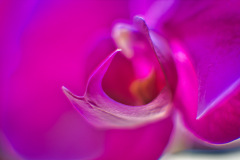 FM_Natuur-Anders-2