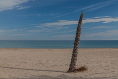 RD_BNanders_231116_0082