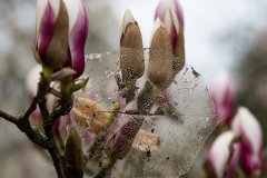 RD_BNanders_9190
