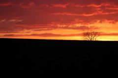 IMG_1823-A