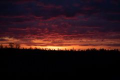 IMG_1825-A